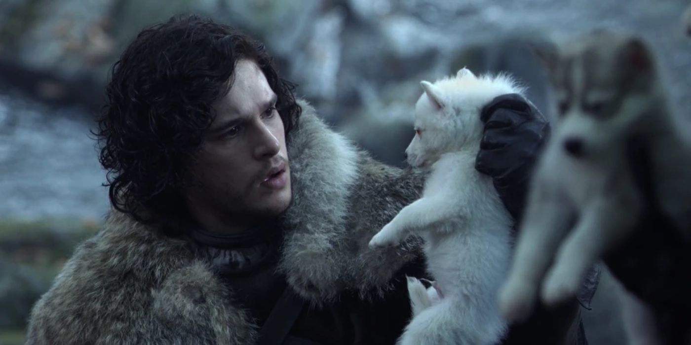 Jon Snow and Ghost in Game of Thrones