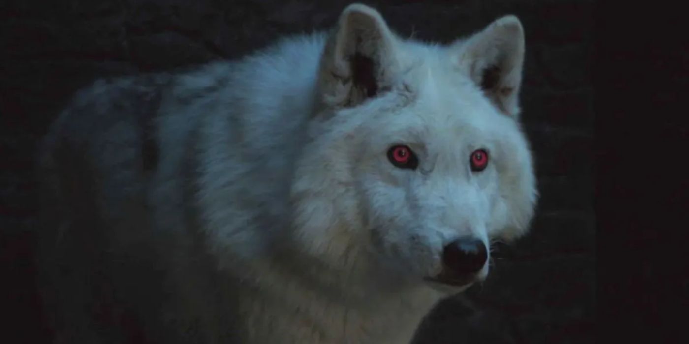 Ghost direwolf Game of Thrones