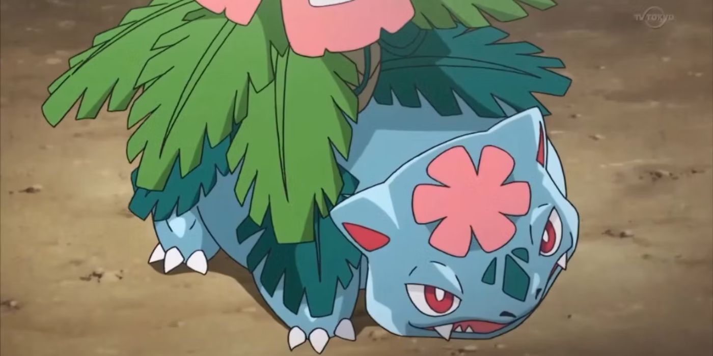 Mega Venusaur in the Pokémon anime.