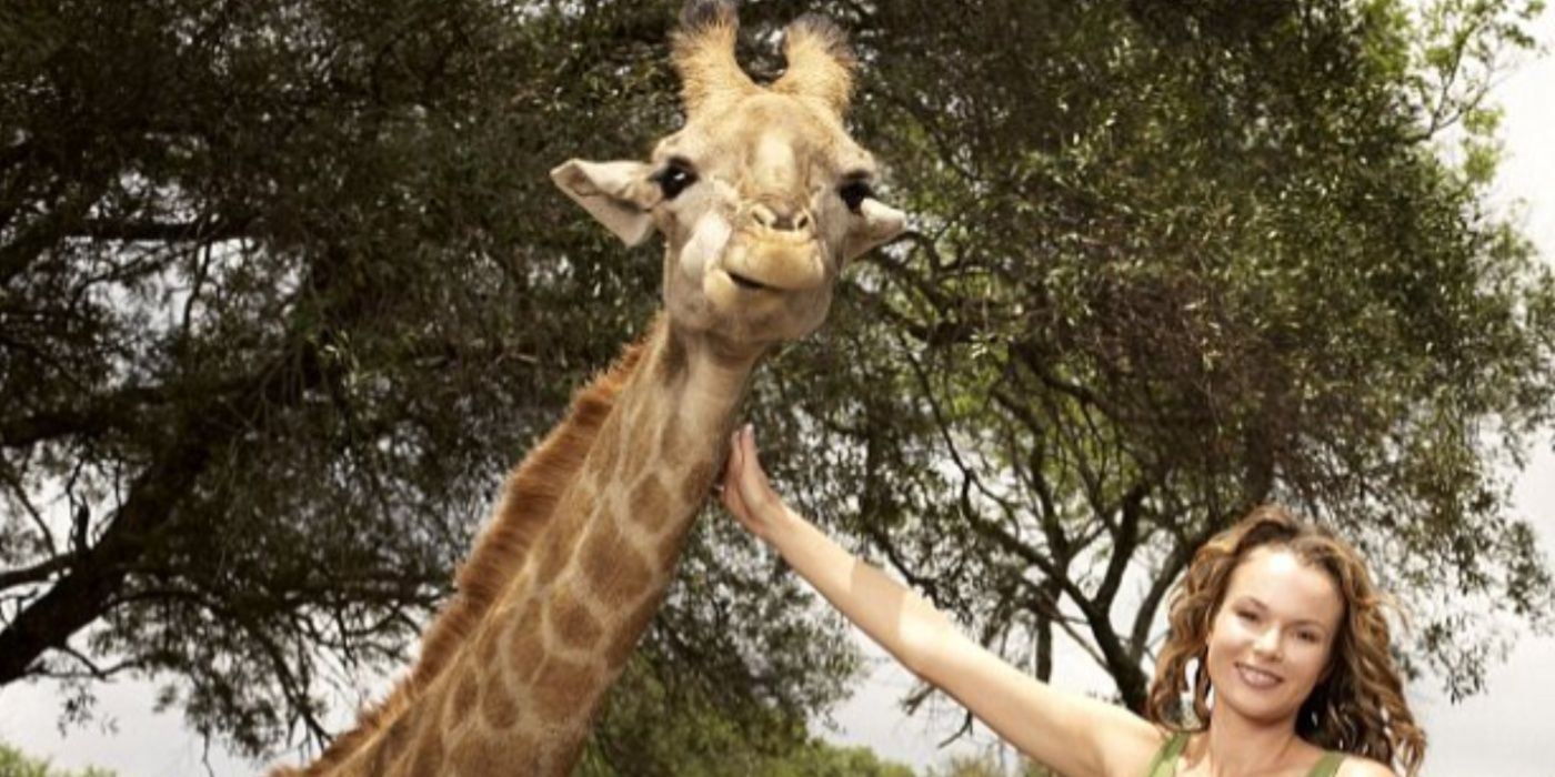 Amanda Holden acaricia uma girafa em Wild at Heart