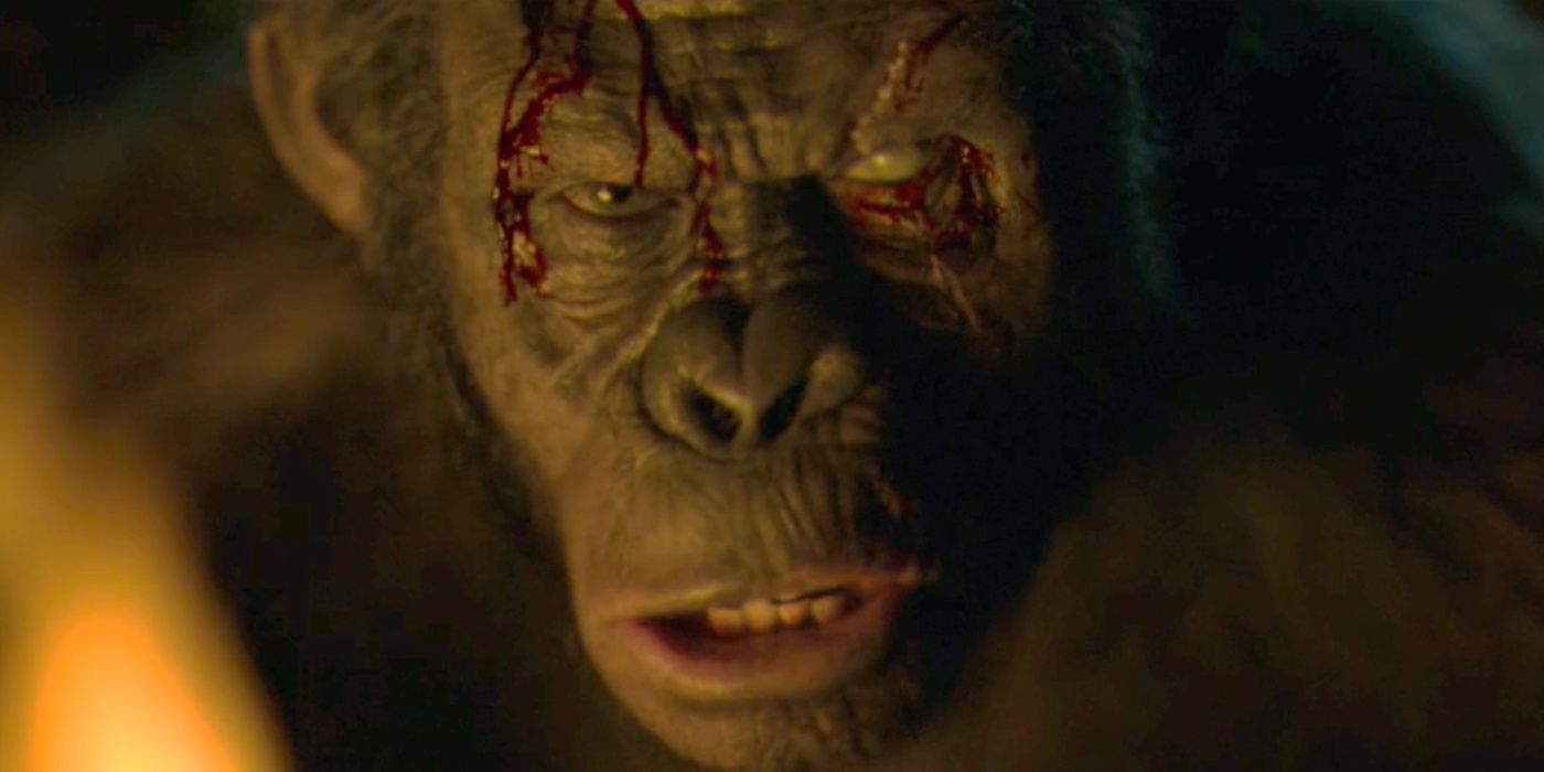 Koba with a bloody forehead in front of a fire in Dawn of the Planet of the Apes