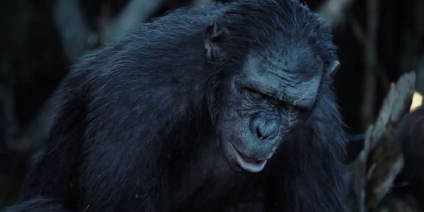 The Best Planet Of The Apes Villain Since Koba Can Do The 1 Thing Caesars Nemesis Didnt