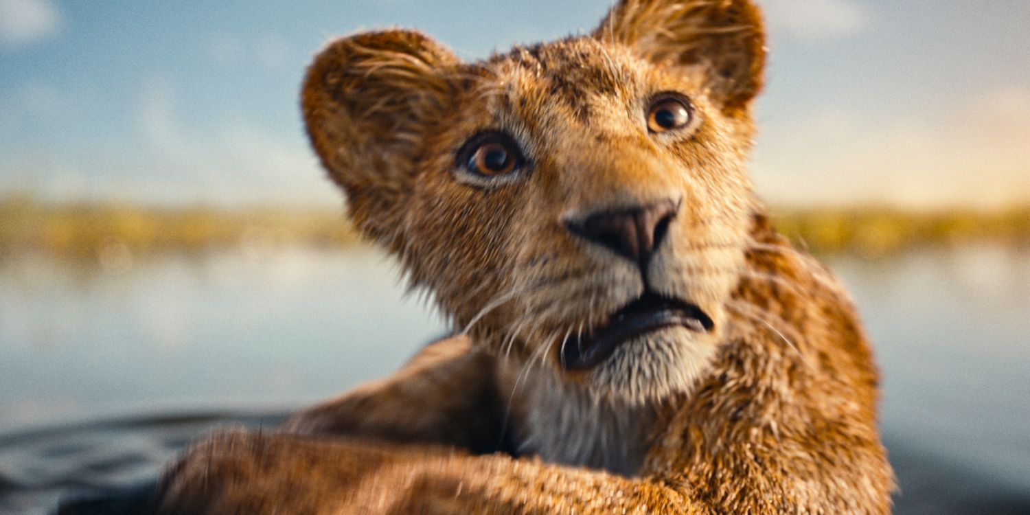 Such A Strong Pivot: Mufasas New CGI Aesthetic Leaves VFX Artists Mixed Compared To Live-Action Lion King