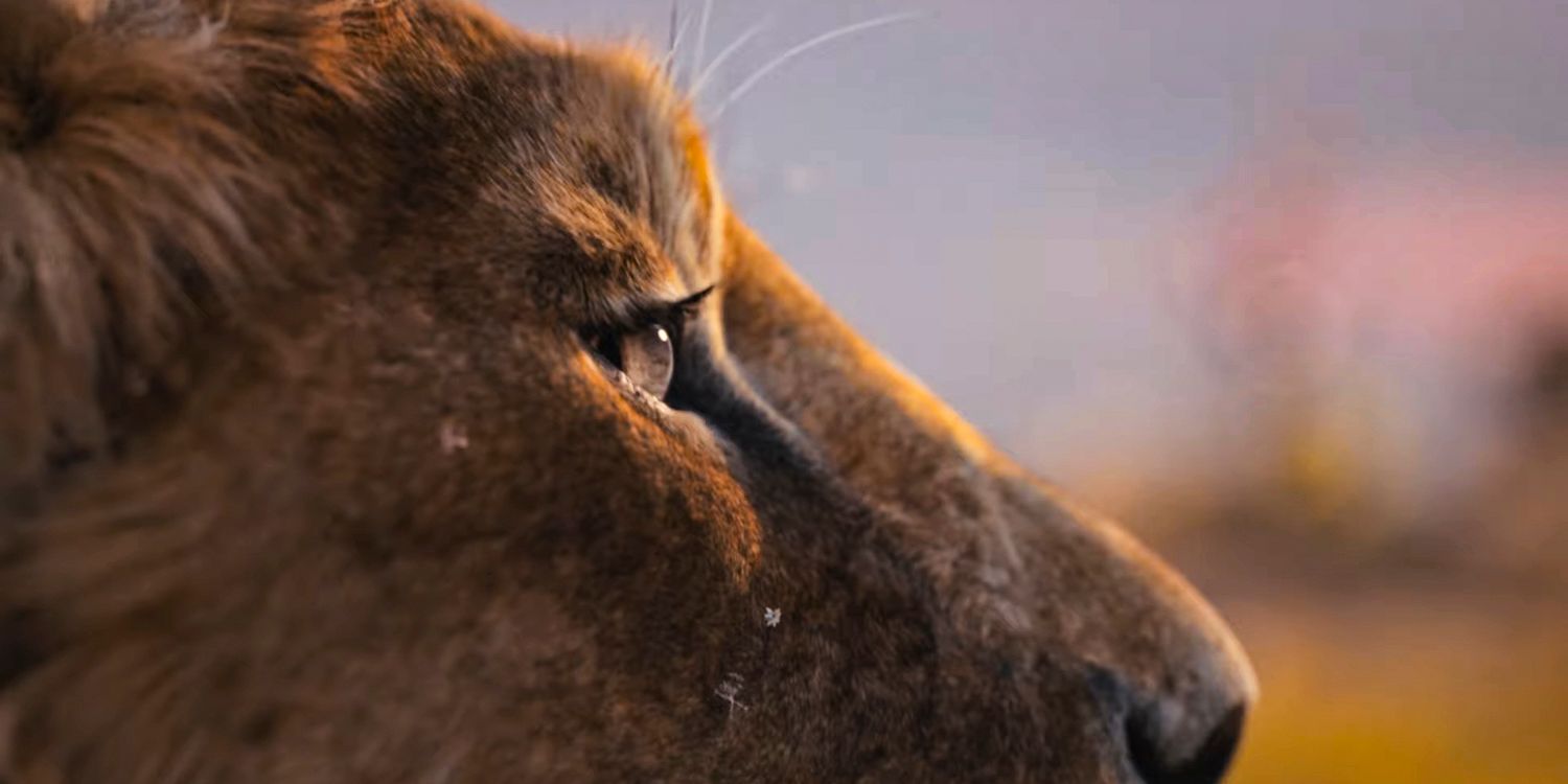 Disney's Lion King Prequel Is Completely Changing Mufasa & Scar's Entire Relationship