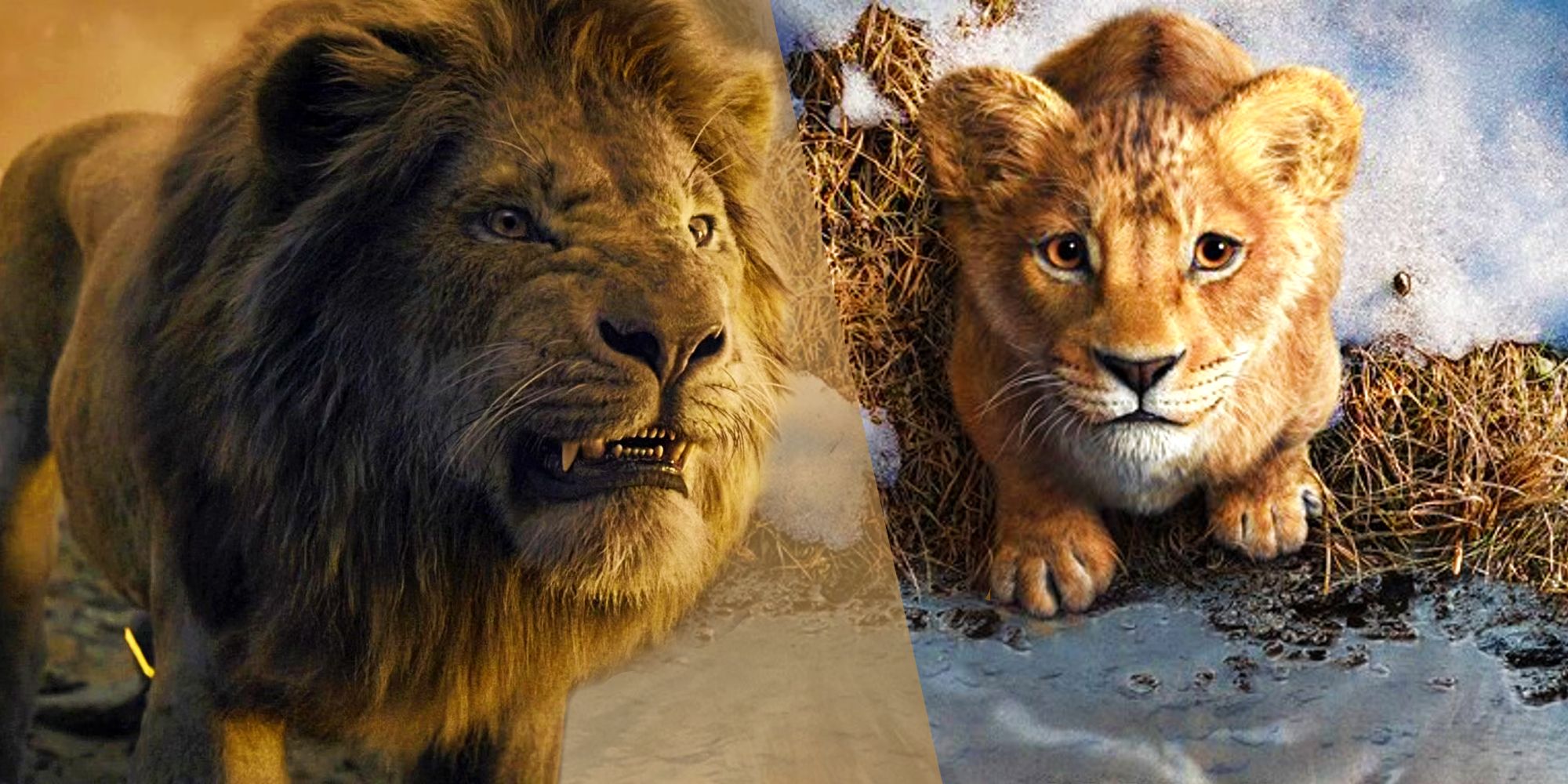 The Lion King Prequel Has Already Fixed The Biggest 2019 Remake Mistake