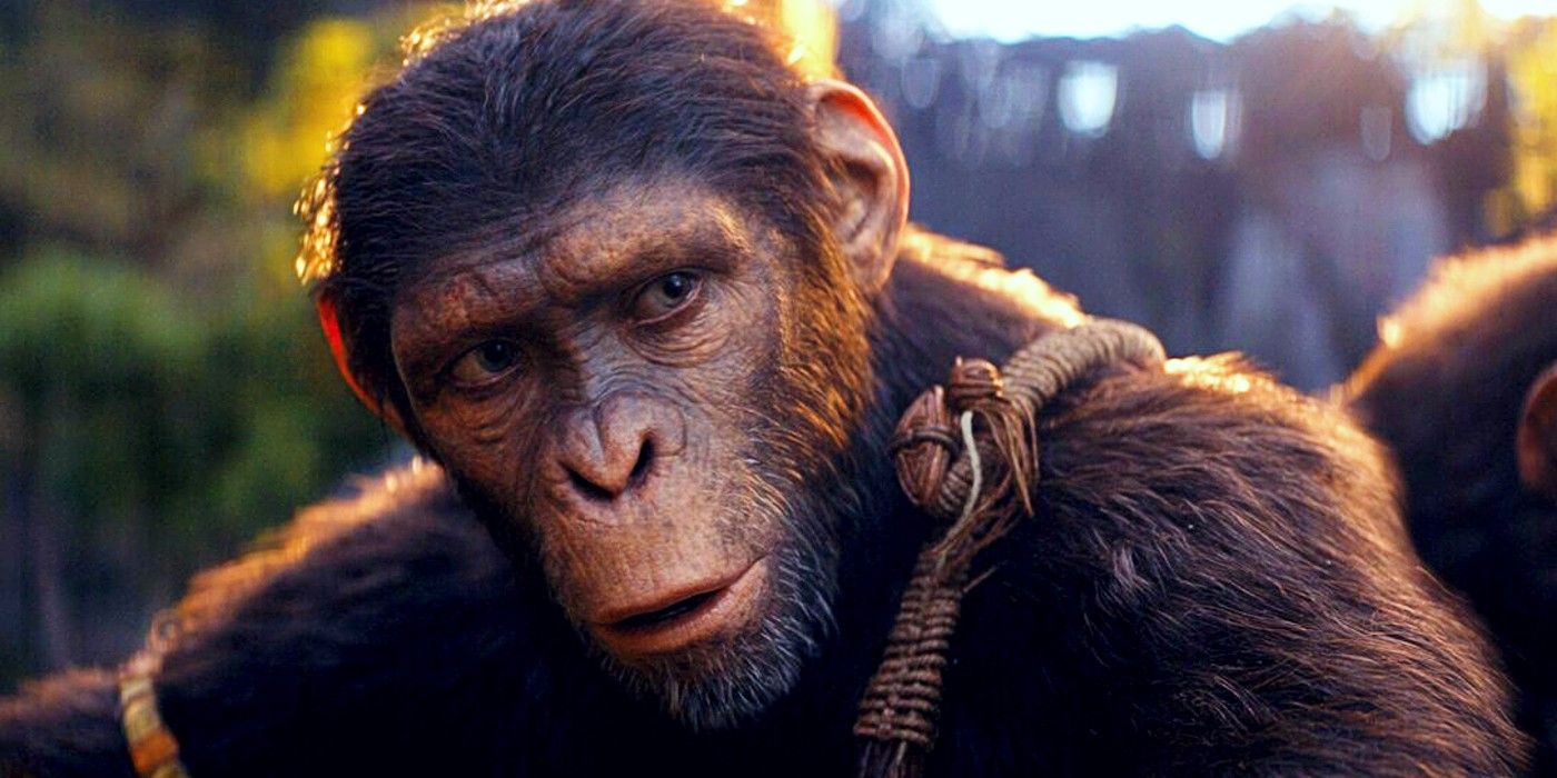 Noa in Kingdom of the Planet of the Apes looking concerned