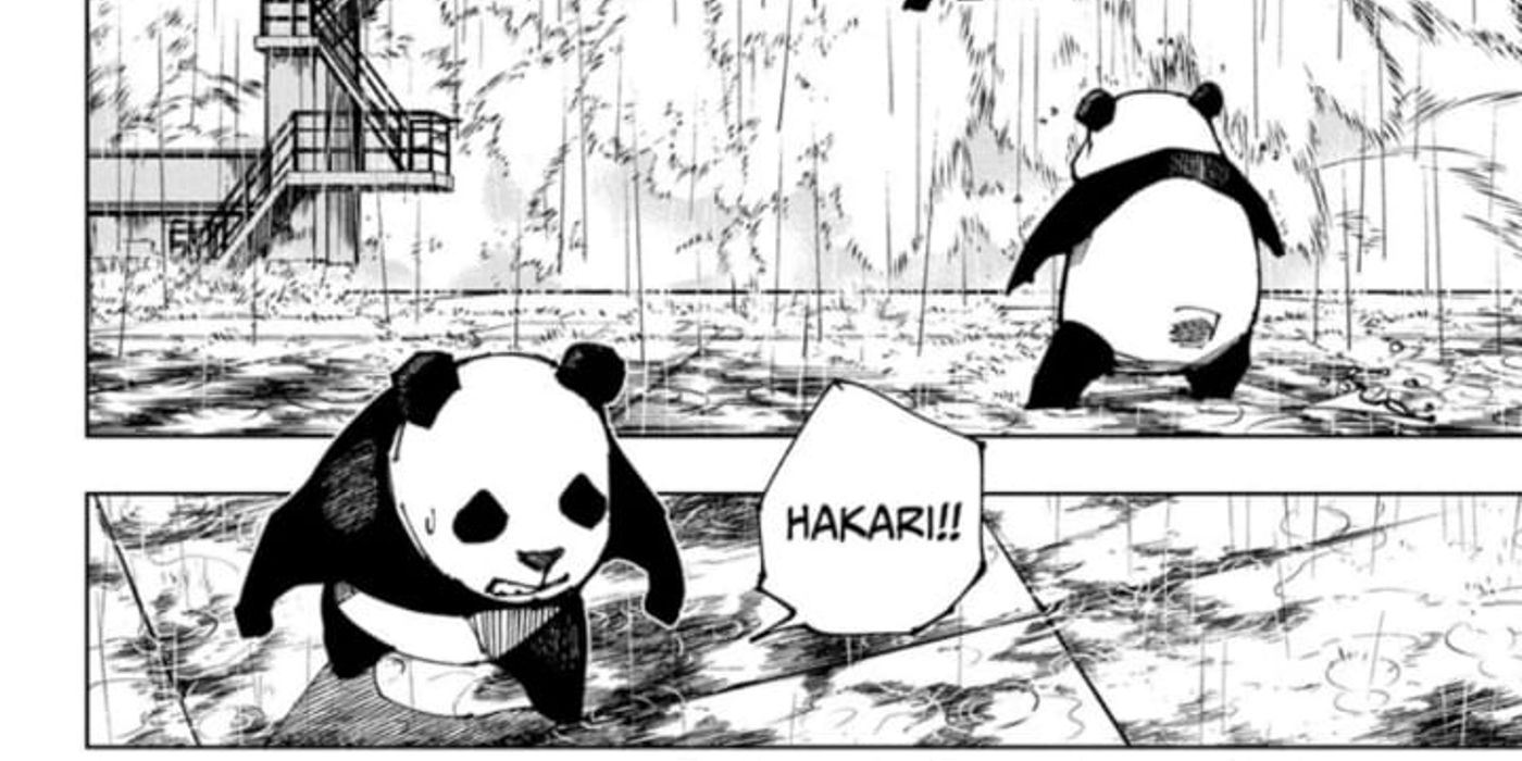 panda is still alive but smaller than before and looking for hakari after hakari's fight with kashimo in jujutsu kaisen