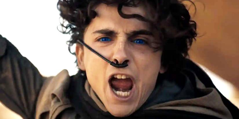 Two Of Timothée Chalamet’s Best Movies From The Past 11 Years Are Now Trending On Netflix