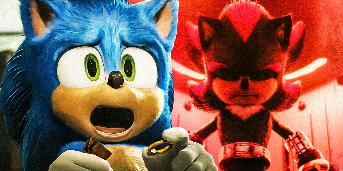 Uma imagem personalizada de Sonic e Shadow the Hedgehog dos filmes Sonic the Hedgehog.