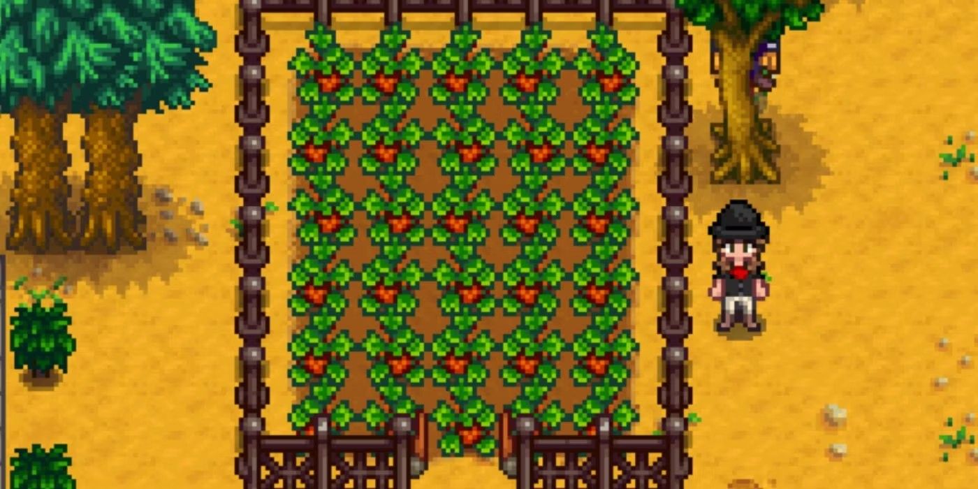 Hay un truco que todo jugador de Stardew Valley debería usar en el año 1