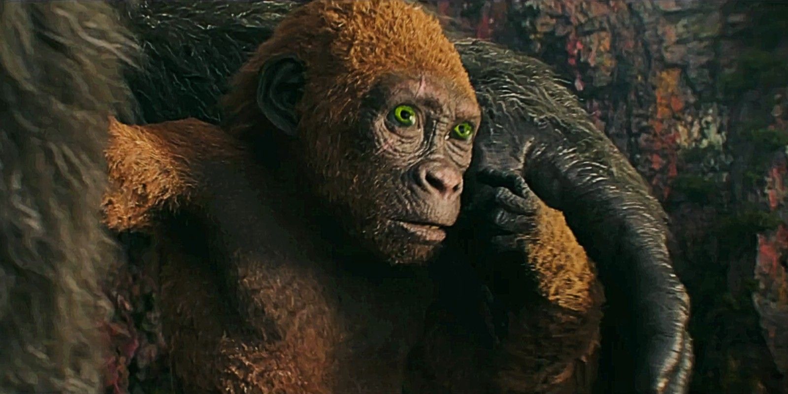 Suko holding Kong's thumb and looking scared in Godzilla x Kong The New Empire