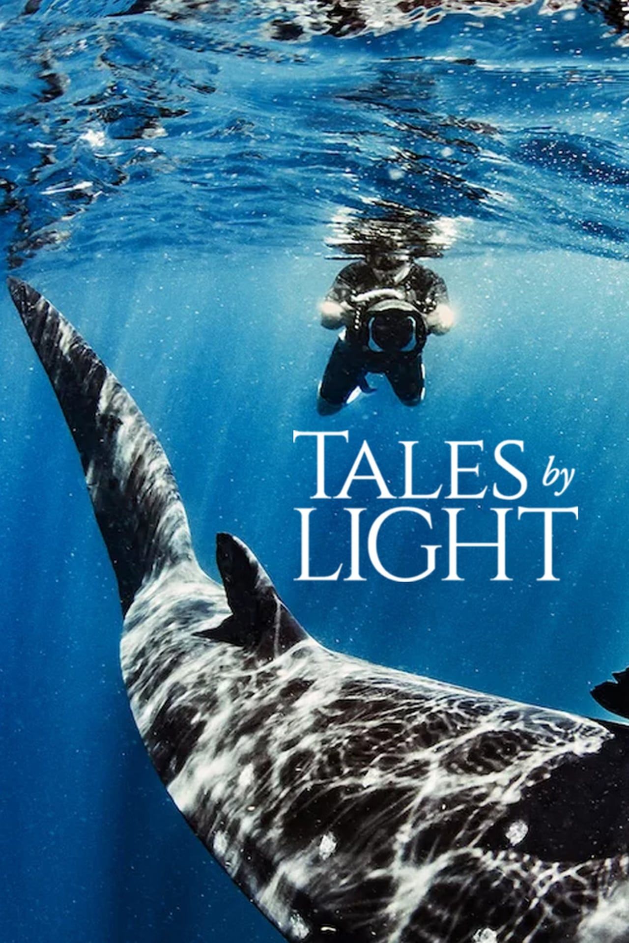 Tales By Light (2015)