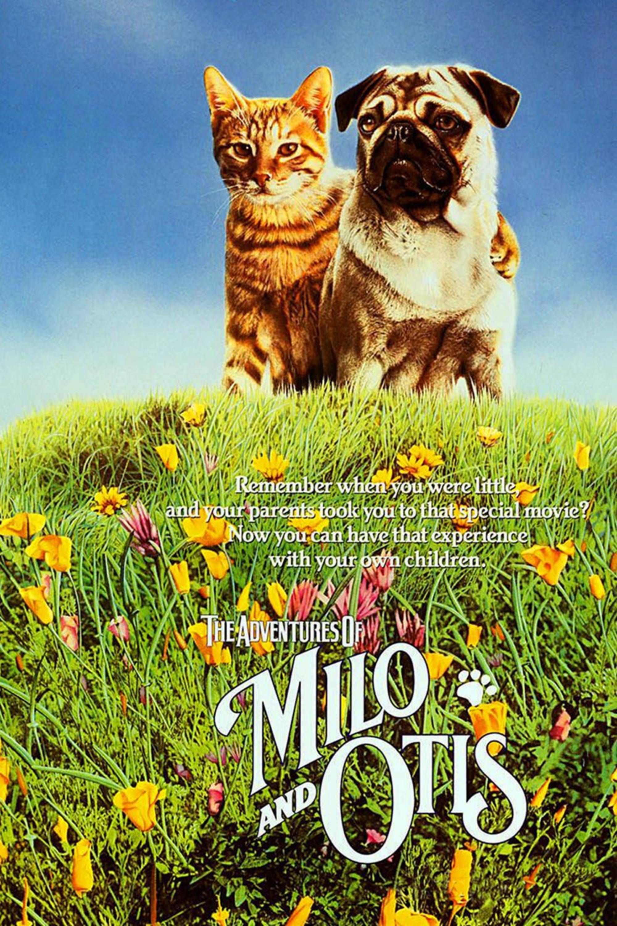The Adventures Of Milo & Otis (1986) - Poster