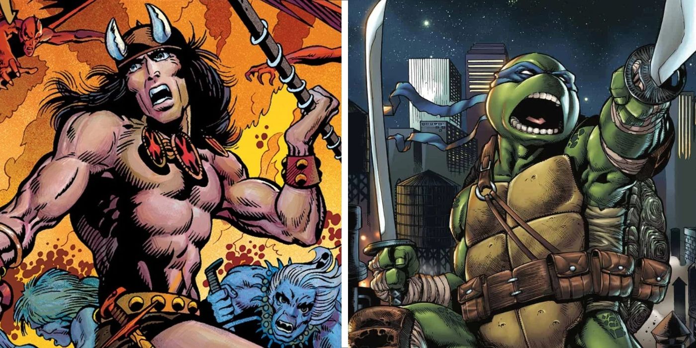صورة مقسمة: كونان البربري على اليسار، وليوناردو من TMNT على اليمين.