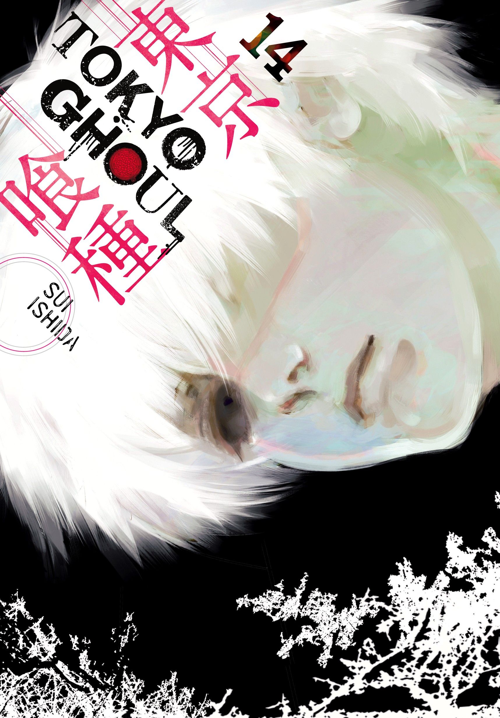 Tokyo Ghoul volume cover 14 featuring Kaneki