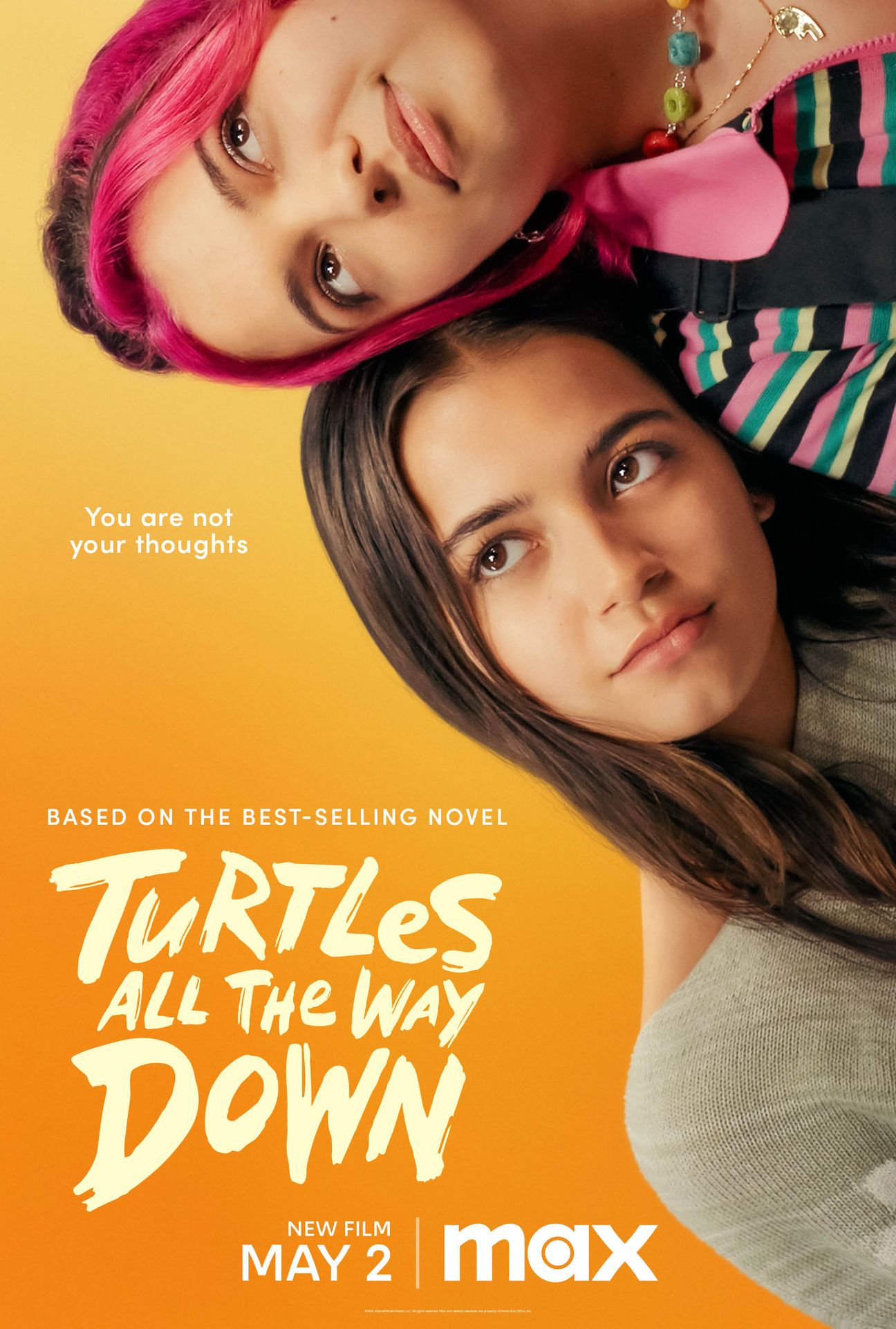 cartaz de tartarugas até o fim
