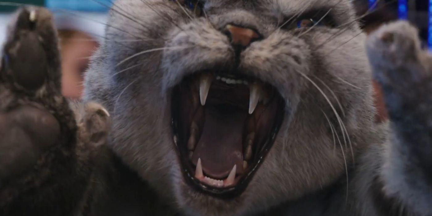 Alfie, o Gato, mostrando seus dentes e garras enquanto ataca Ritter em Argylle