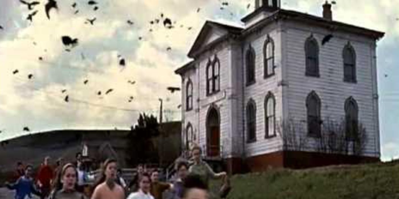 10 Scariest Horror Movie Scenes That Take Place in Broad Daylight