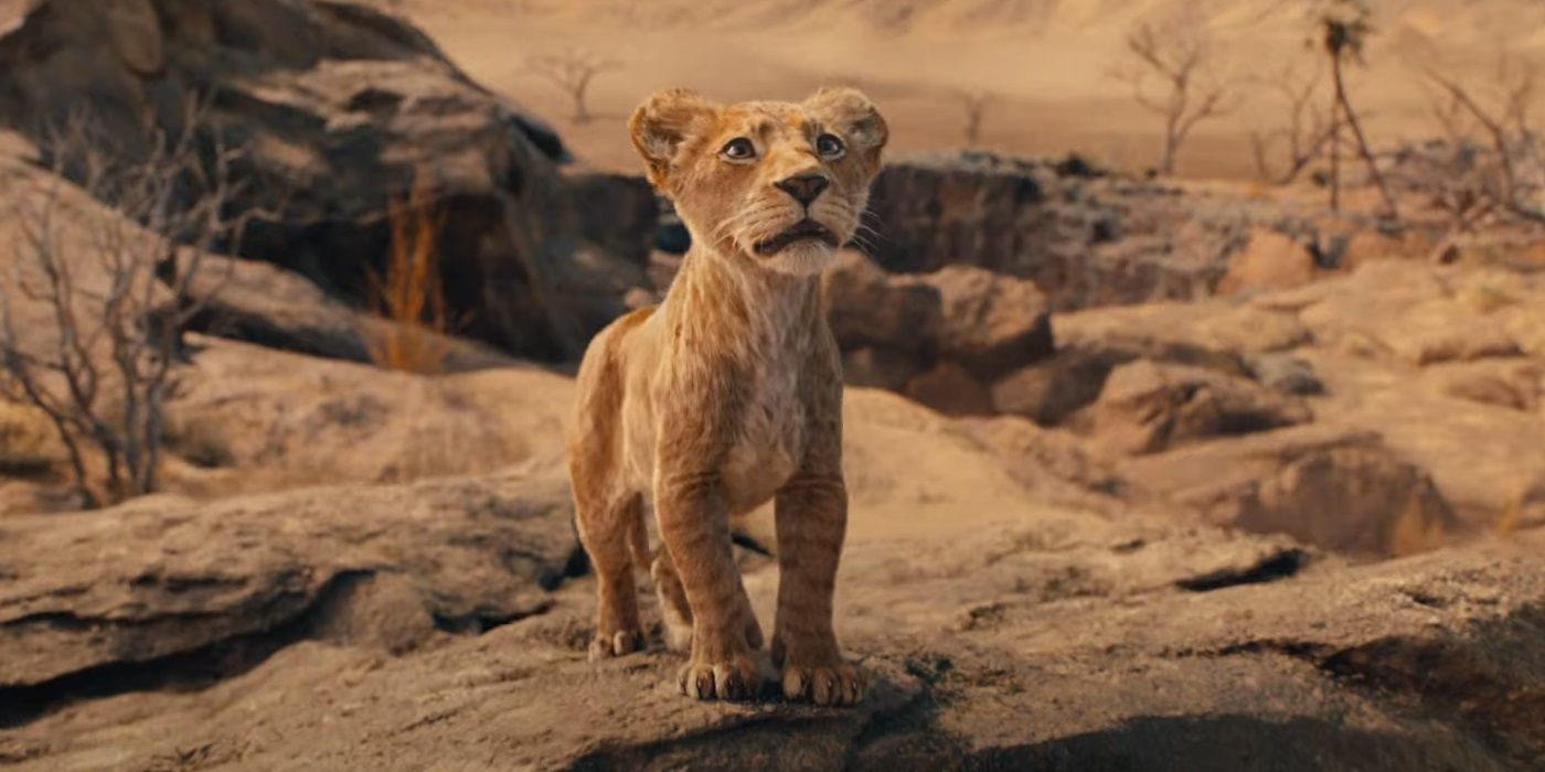 Young Mufasa in the Mufasa The Lion King trailer