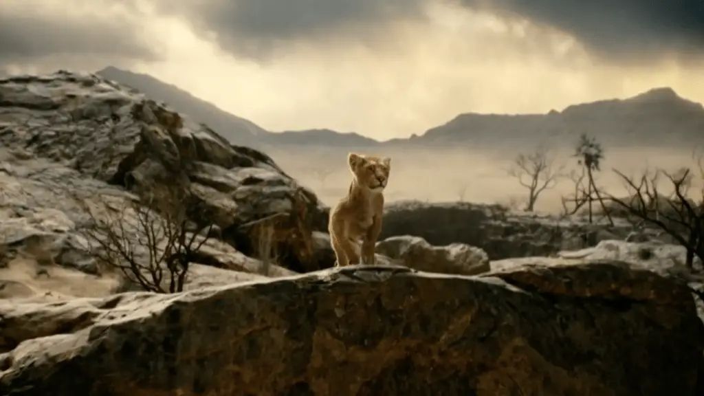 Young Mufasa Looking Out at the Pride Lands in Mufasa The Lion King