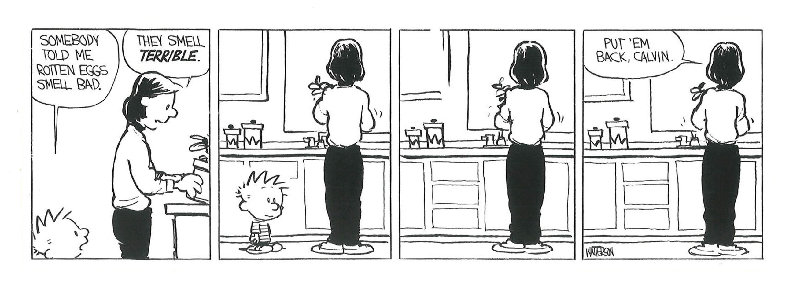 A Calvin and Hobbes strip where Calvin wonders just how bad rotten eggs smell.