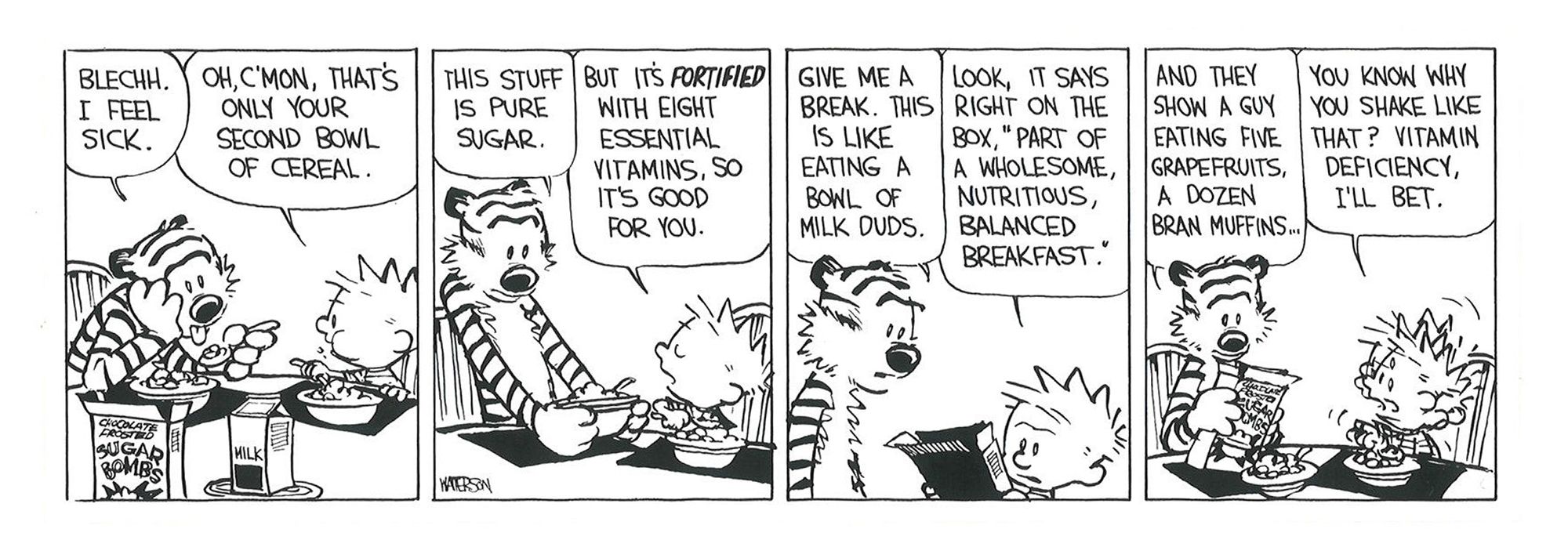 Calvin explains his favorite breakfast cereal, Chocolate Frosted Sugar Bombs, to Hobbes