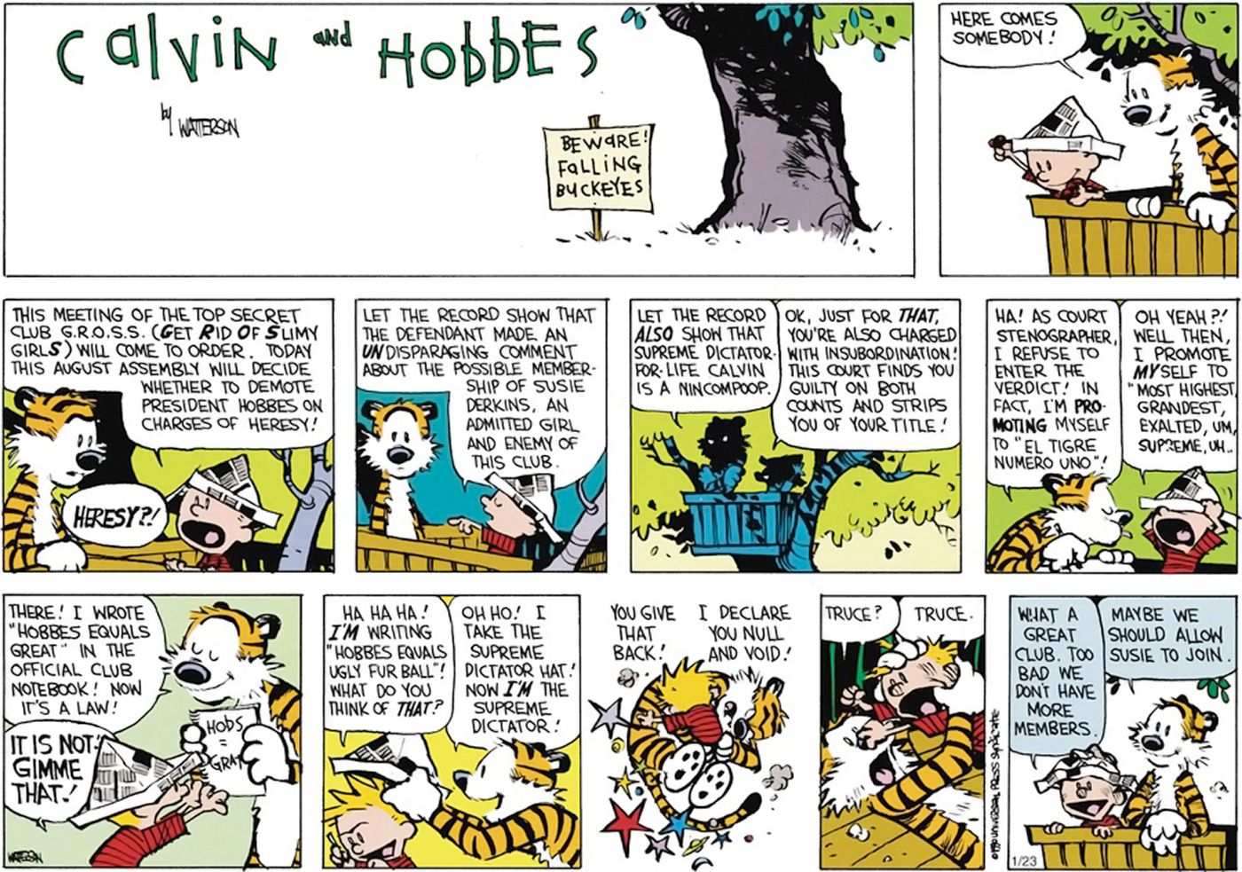 Calvin e Hobbes estão realizando uma reunião do GROSS (Get Rid Of Slimy girls) e começam a brigar para remover Hobbes do clube, já que ele sugeriu que Susie Derkins se juntasse a eles.