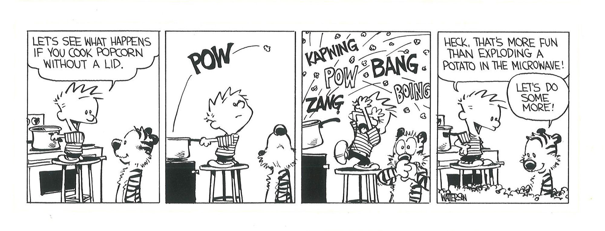 Calvin and Hobbes make popcorn on the stove, without a lid on the pot. Kernels start popping everywhere.