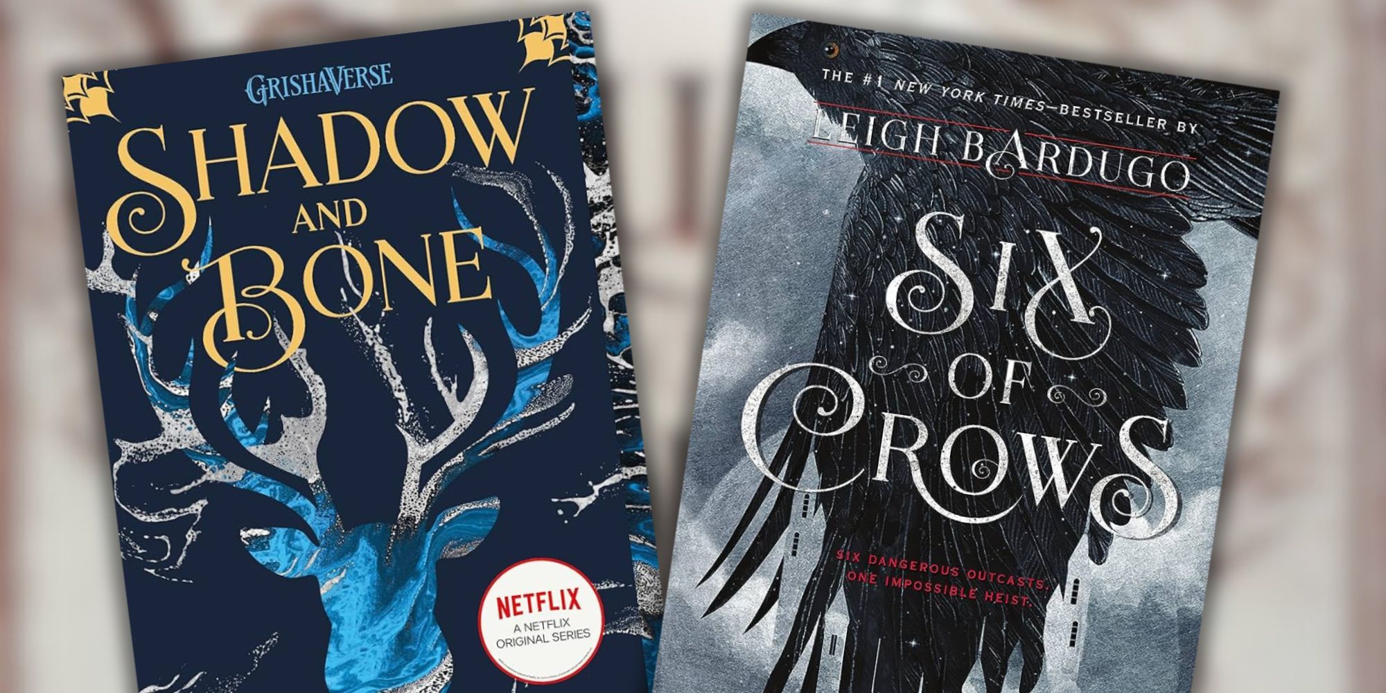 Shadow and Bone and Six of Crows book covers