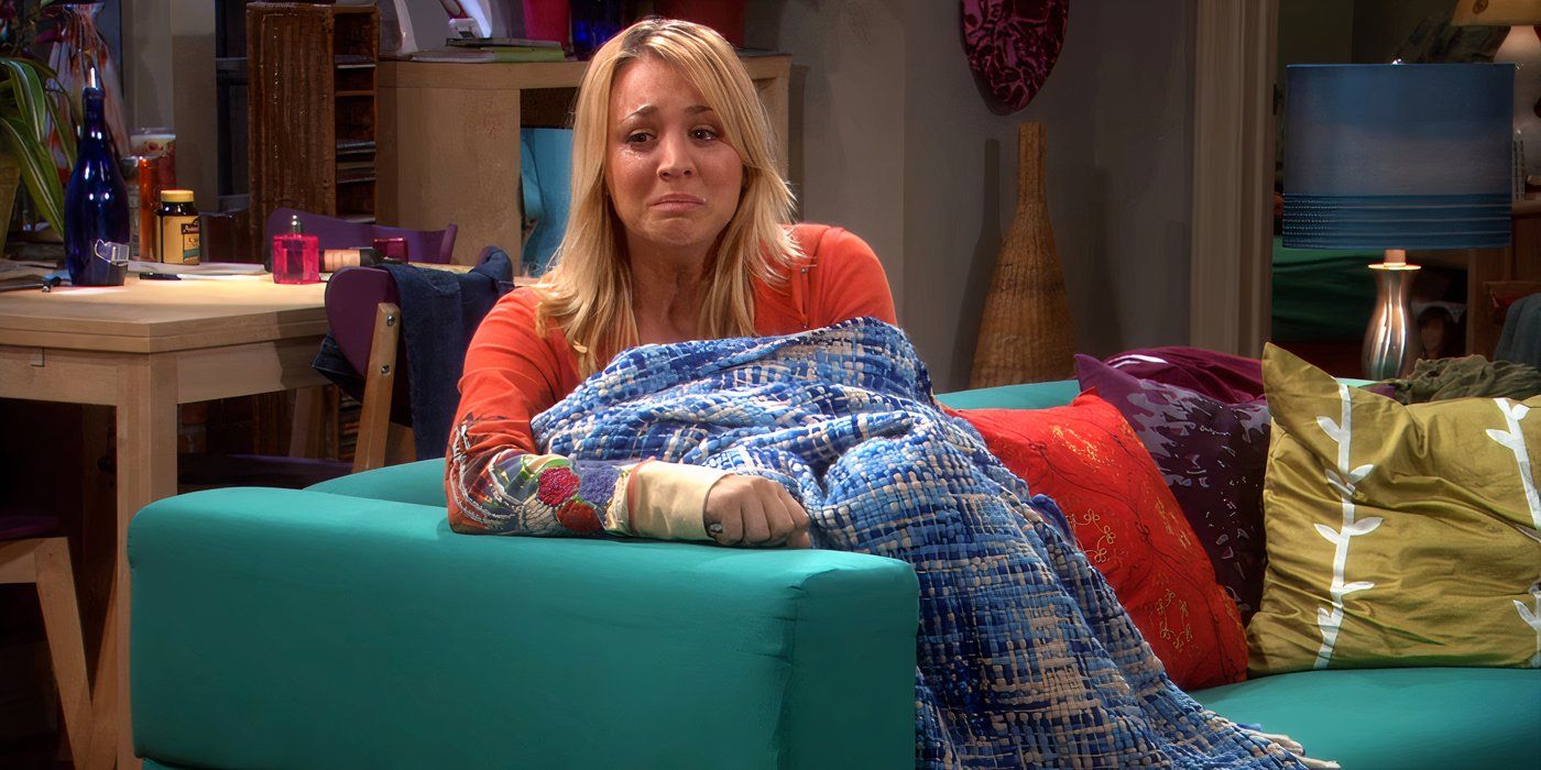 10 Things The Big Bang Theory Characters Wanted In Season 1 That Came True By The Series Finale