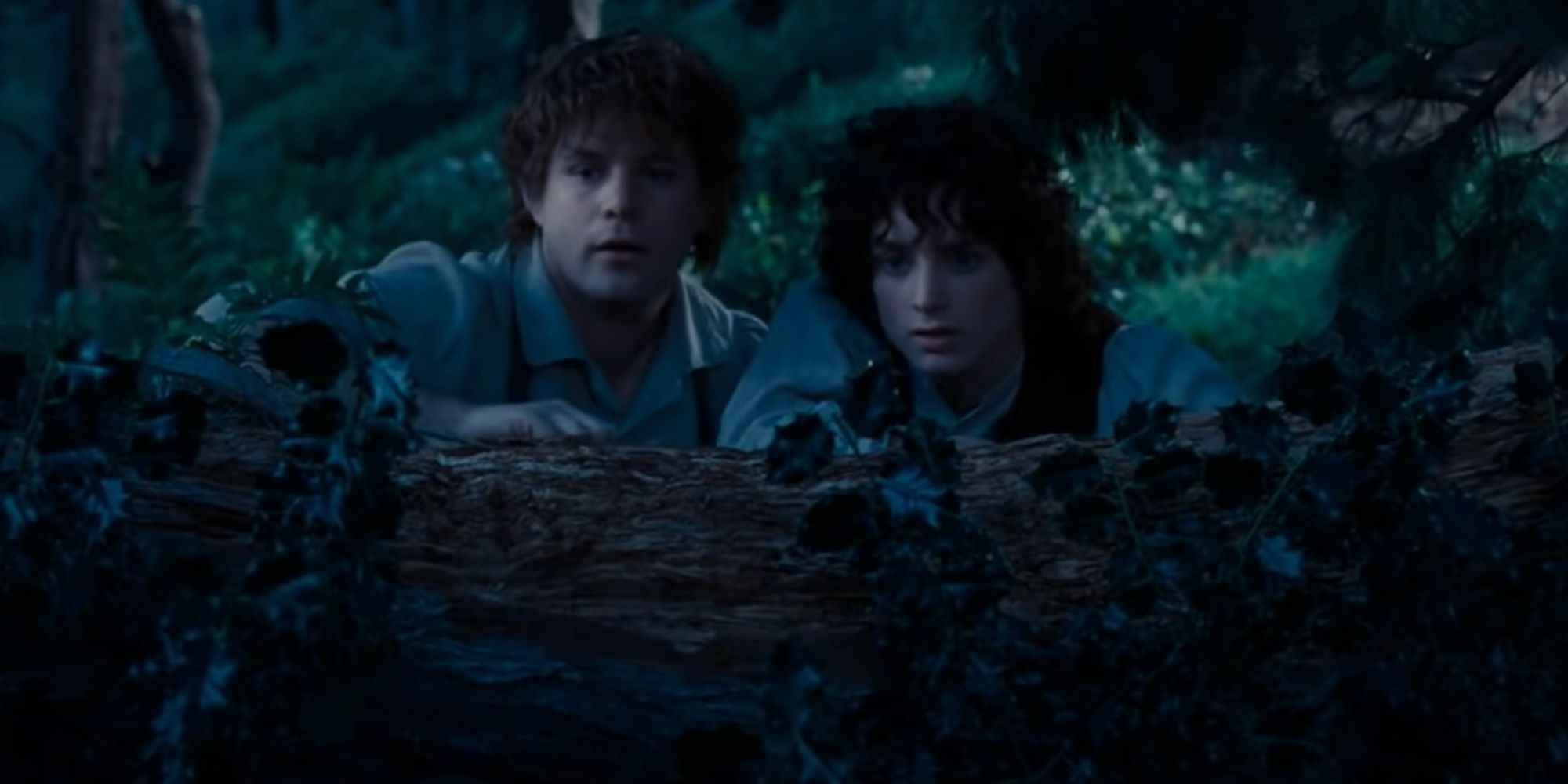 Frodo and Sam watching the Wood Elves in The Lord of the Rings: the Fellowship of the Ring.