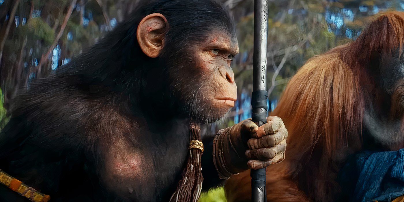 A Scarred Ape in Kingdom of the Planet of the Apes