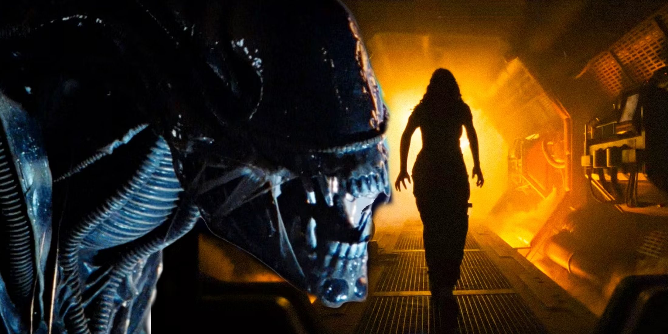 A Xenomorph growling in Aliens next to Cailee Spaeny walking down a hallway in Alien Romulus