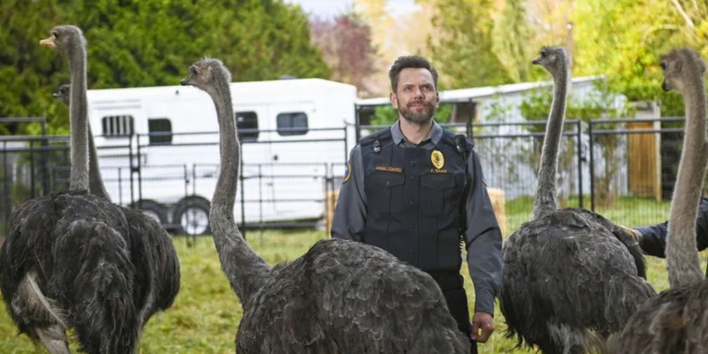 Animal Control Season 3: Cast, Story & Everything We Know