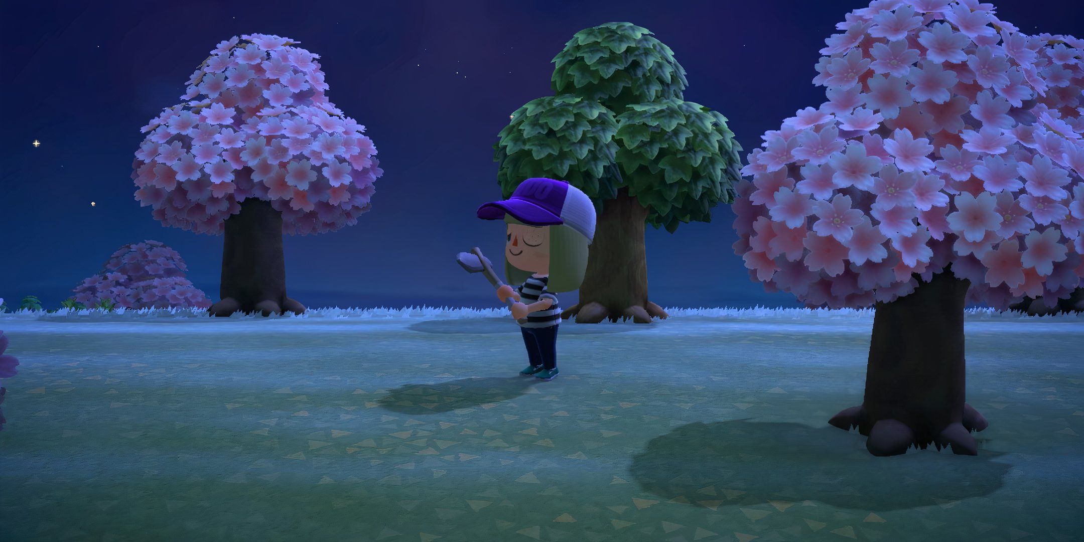 8 Harsh Lessons I Learned After Restarting My Animal Crossing Island