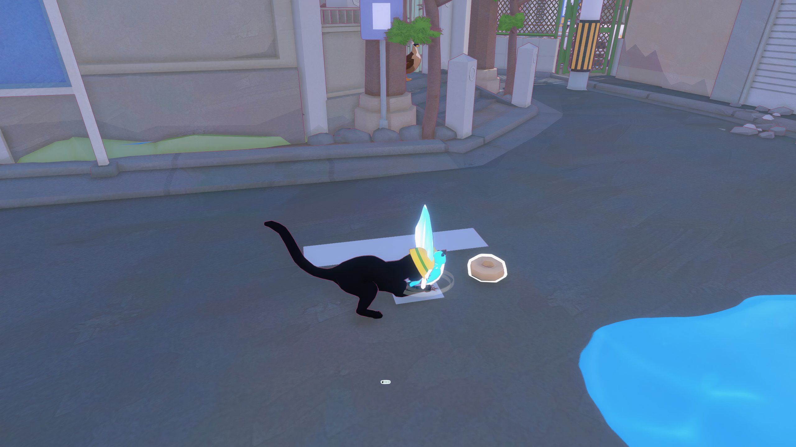 Gato preto usando capacete amarelo atacando o pássaro azul enquanto ele come um donut em Little Kitty, cidade grande