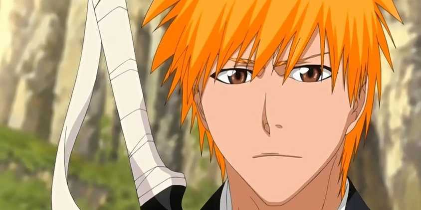 Bleach Ichigo Kurosaki