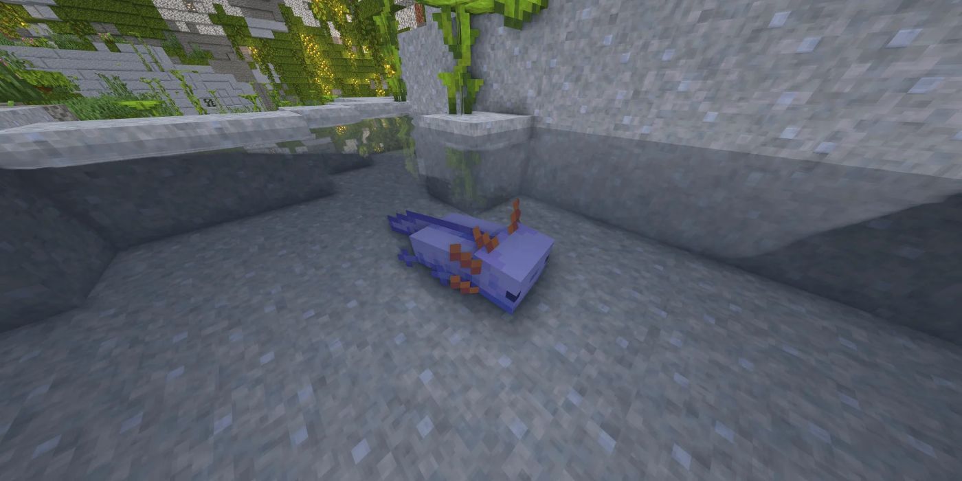 How To Spawn a Blue Axolotl In Every Minecraft Version