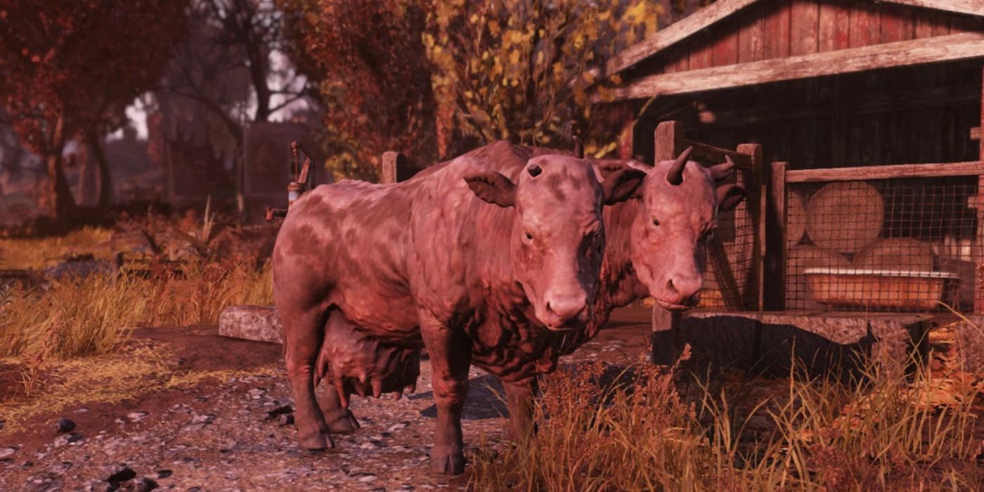 5 Fallout 76 Mutations Youll Want To Keep (& 5 To Cure ASAP)