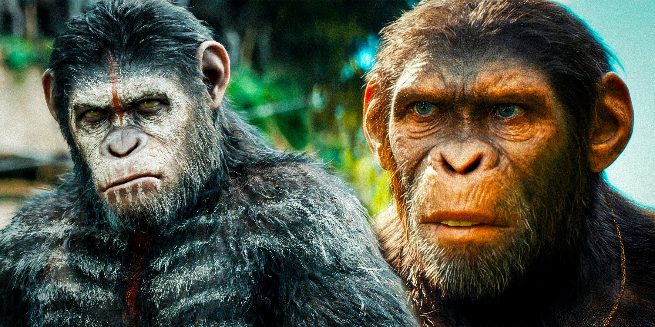 Imagem personalizada de César e Não da franquia Planeta dos Macacos