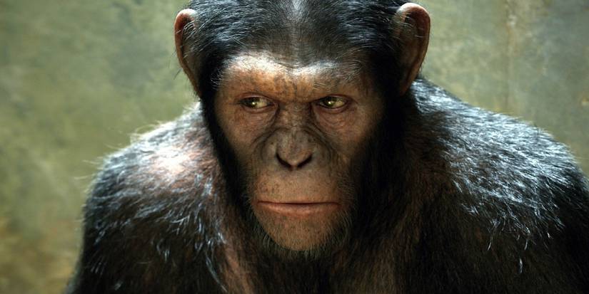 Caesar wears a thoughtful expression in Rise of the Planet of the Apes, 2011.
