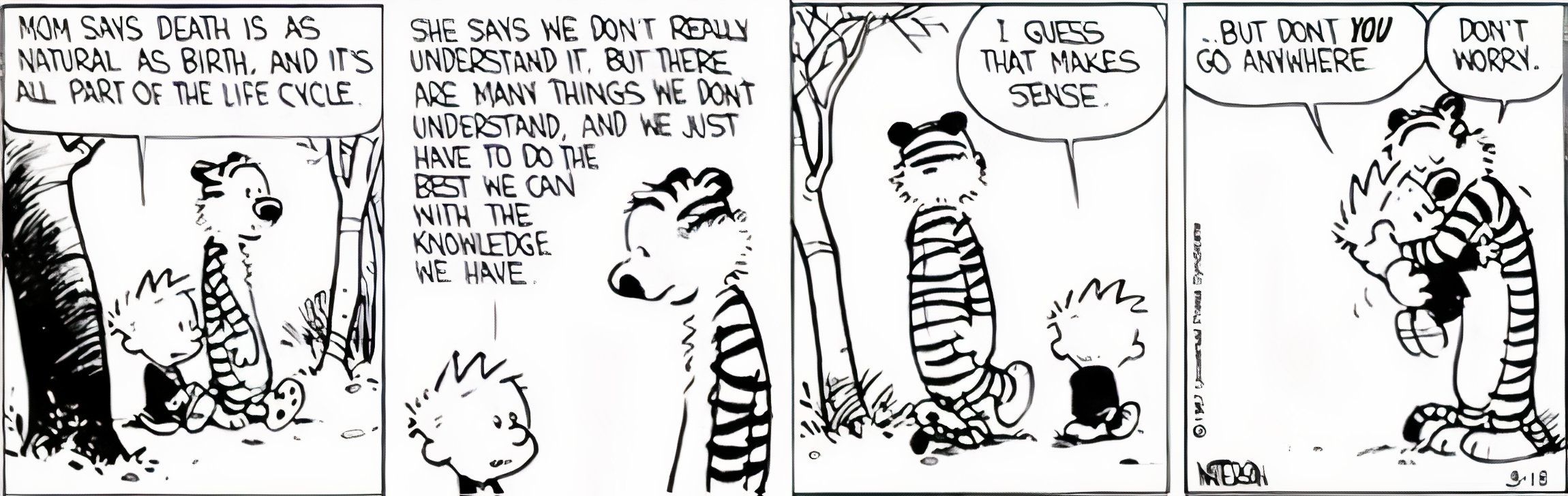 Calvin pede a Hobbes que não vá a lugar nenhum depois que sua mãe explicar a morte; Hobbes diz "não se preocupe."