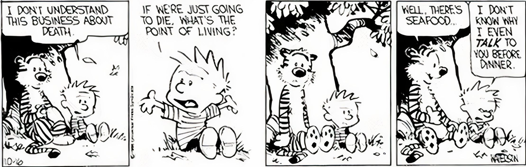 Calvin e Hobbes: 'Não entendo esse negócio da morte'