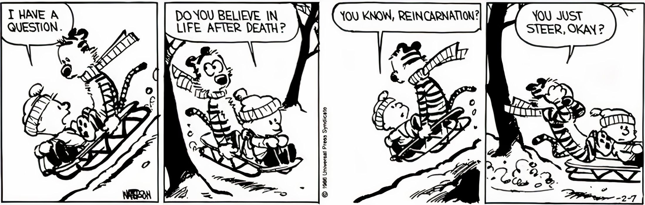 Calvin pergunta a Hobbes o que ele pensa sobre a vida após a morte enquanto eles andam de trenó em alta velocidade.