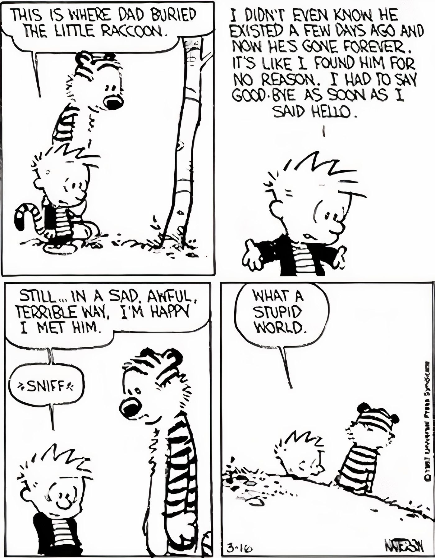 Calvin e Hobbes refletem sobre a morte de um guaxinim, o que afeta profundamente Calvin.