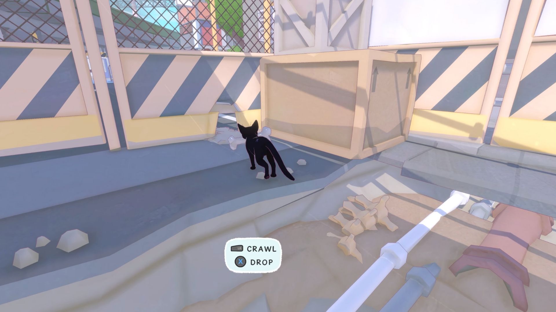 Cat carrying a dog bone in Little Kitty Big City