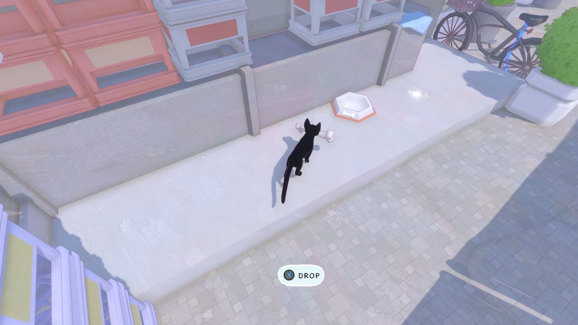 Cat dropping a dog bone in a dog bowl in Little Kitty Big City