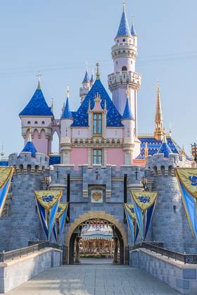 Disneyland Castle