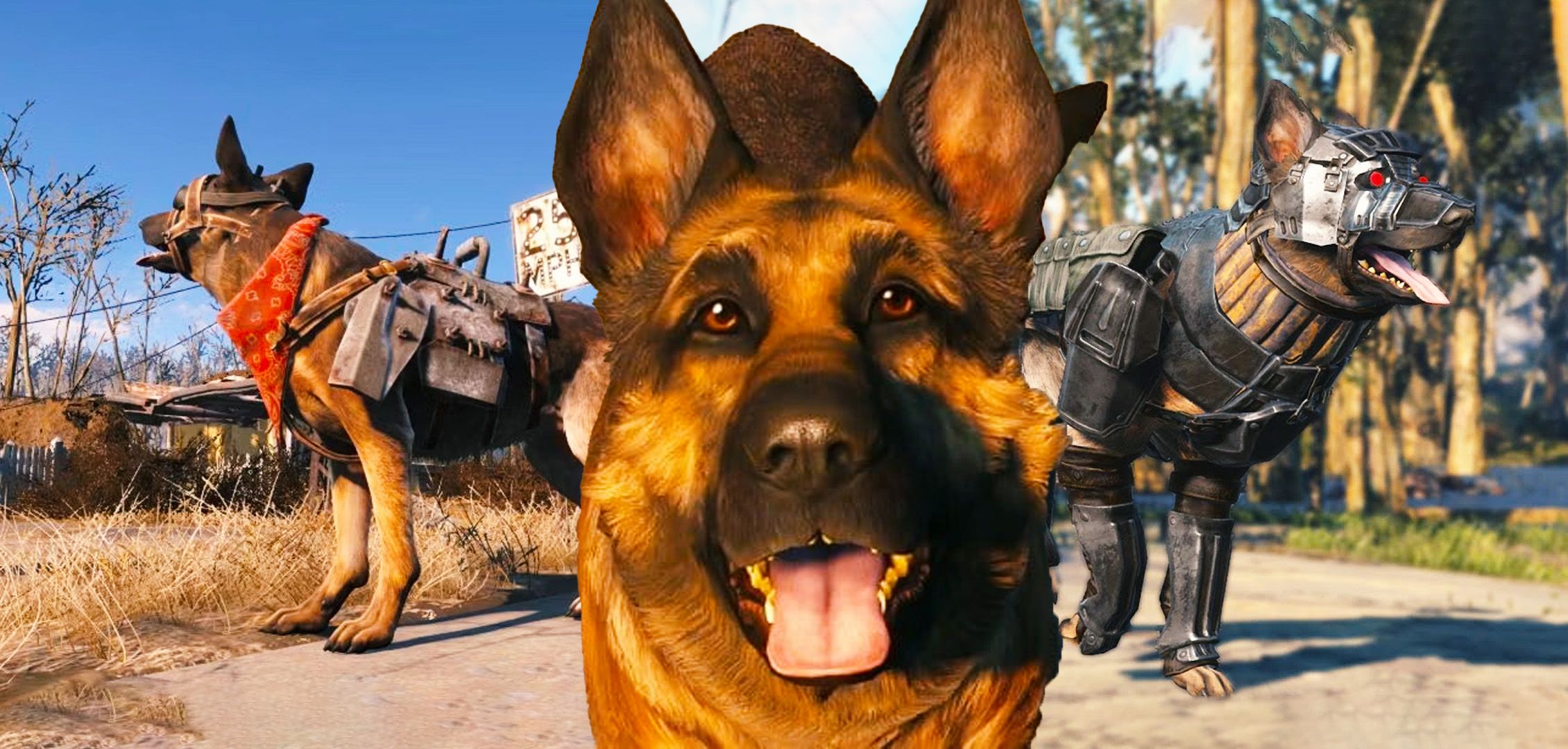 Dogmeat wearing dog armor in Fallout 4.