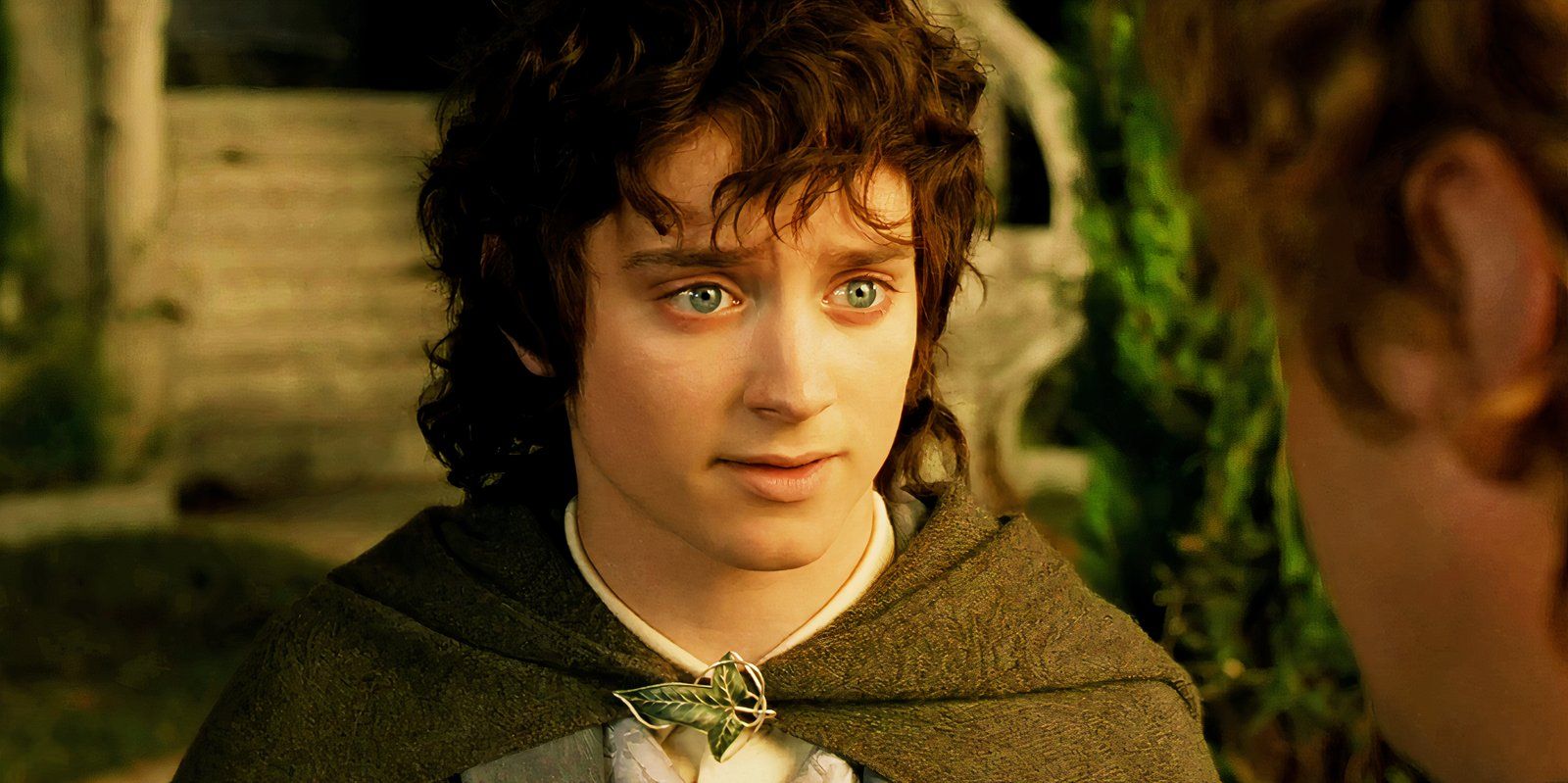 Elijah Wood as Frodo in The Lord of the Rings The Return of the King